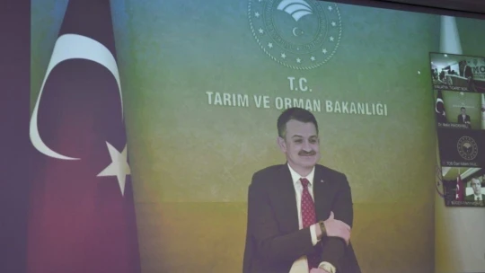 Malatya kayısısına TMO dopingi