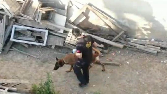 Malatya merkezli uyuşturucu operasyonu: 13 tutuklama