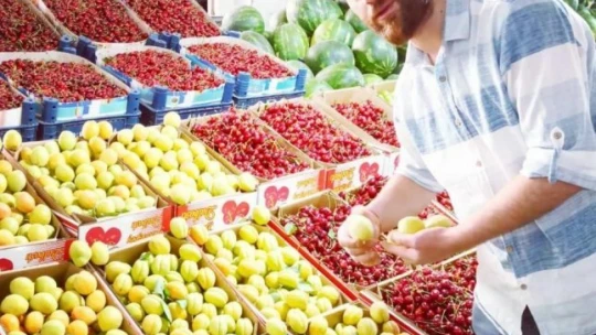 Malatya'nın turfanda kayısısı pazarda