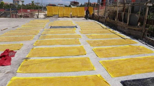 Malatya'nın üreten kadınları buluştu