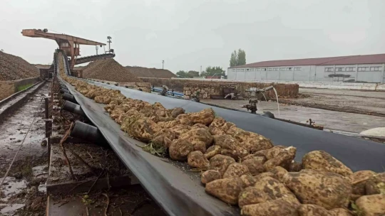 Malatya Şeker Fabrikası'nda hedef 60 bin ton şeker üretimi