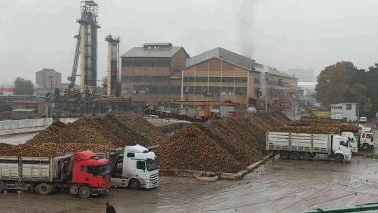 Malatya Şeker Fabrikası'nda hedef 60 bin ton şeker üretimi