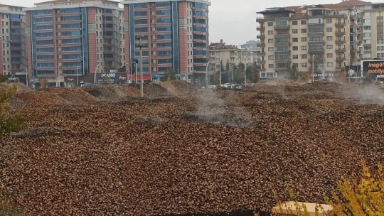 Malatya Şeker Fabrikası'nda son 30 yılın başarısı
