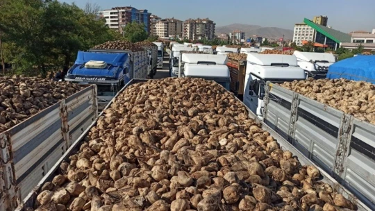 Malatya Şeker Fabrikasında pancar alım sezonu başladı