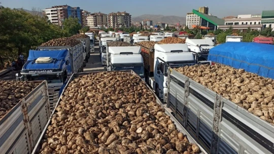 Malatya Şeker Fabrikasında pancar alım sezonu başladı