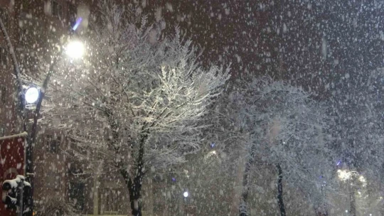 Malatya'ya lapa lapa kar yağıyor