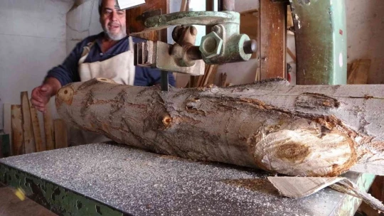 Malatyalı aile üç kuşaktır ağaçlara şekil veriyor