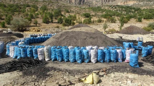 Mangal kömürü işçilerinin zorlu mesaisi