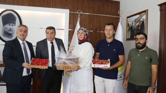 MTB Başkanı Özcan, çilek üreticilerini ödüllendirdi