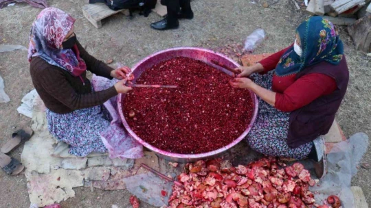 Nar ekşisi Malatyalı kadınların ek gelir kapısı oldu