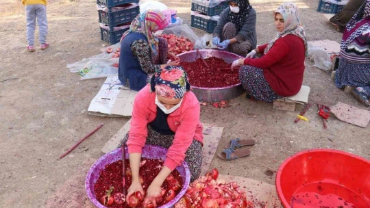 Nar ekşisi Malatyalı kadınların ek gelir kapısı oldu