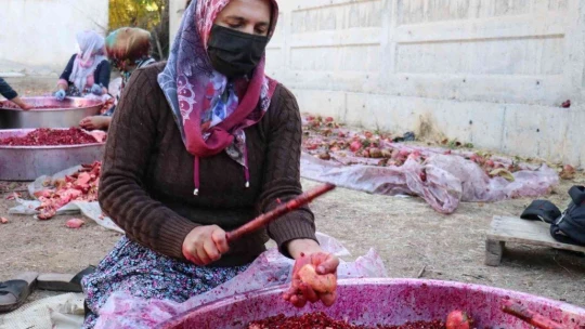 Nar ekşisi Malatyalı kadınların ek gelir kapısı oldu