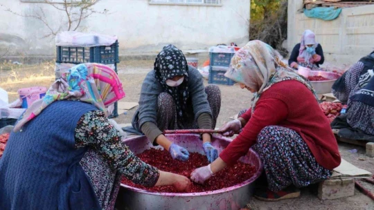 Nar ekşisi Malatyalı kadınların ek gelir kapısı oldu