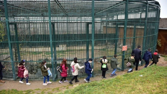 Öğrenciler mektup yazdı, Güder geri çevirmedi
