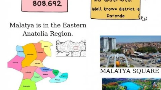 Öğrenciler sanal ortamda sınırları aşıyor