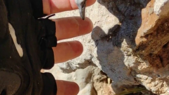 Önce kurtardı, sonra 'Güzelim ne oldu sana' diye sevdi