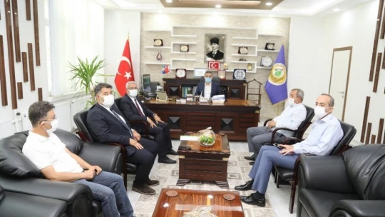 Orduzu'da küle dönen bölge yeniden yeşillenecek