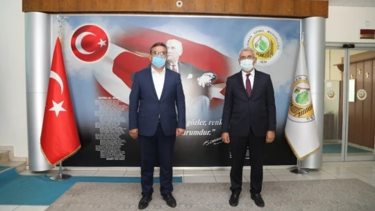 Orduzu'da küle dönen bölge yeniden yeşillenecek