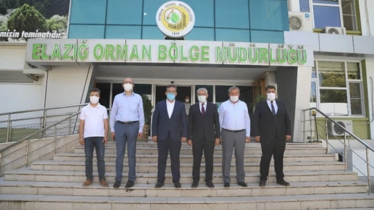 Orduzu'da küle dönen bölge yeniden yeşillenecek