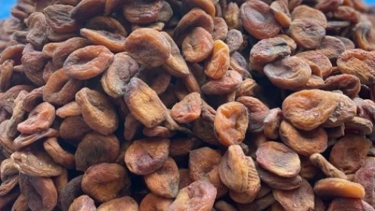 Organik gün kurusu kayısının tanesi 2 TL