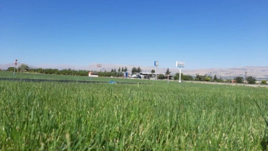 Organik Tarım Desteklemeleri müracaatları başladı