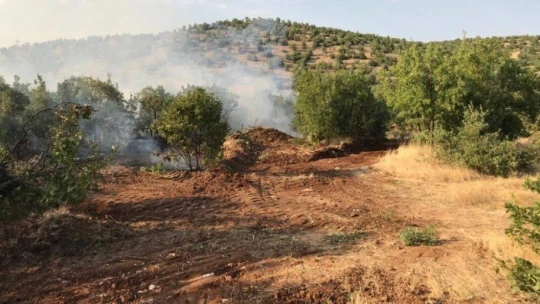 Ormanlık alandaki yangın imece usulü söndürüldü