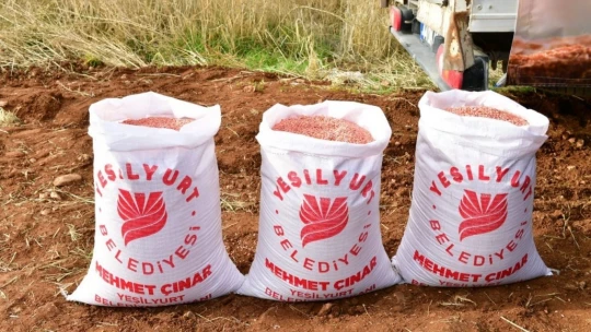 Örnek köye arpa ve buğday tohumu ekildi