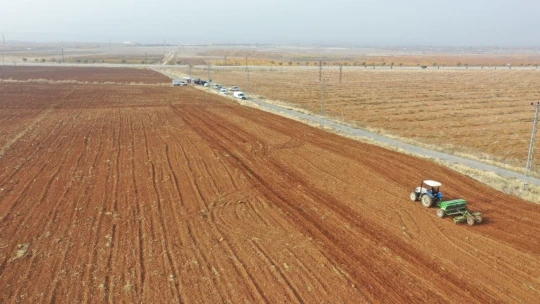 Örnek köye arpa ve buğday tohumu ekildi