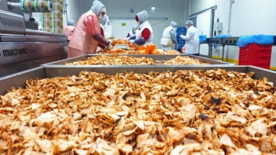 Orta Doğu'nun tavuğu Malatya'dan