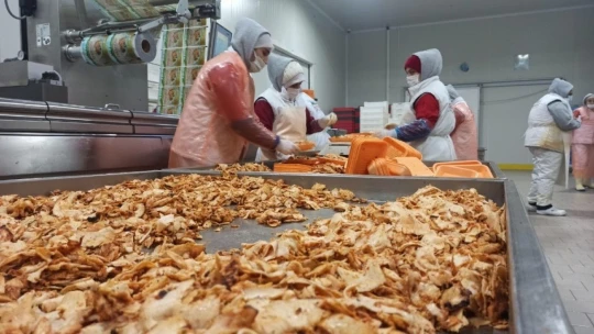 Orta Doğu'nun tavuğu Malatya'dan