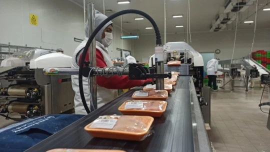 Orta Doğu'nun tavuğu Malatya'dan