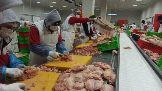 Orta Doğu'nun tavuğu Malatya'dan