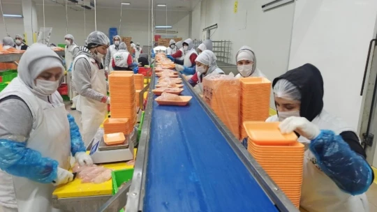 Orta Doğu'nun tavuğu Malatya'dan