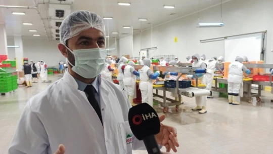 Orta Doğu'nun tavuğu Malatya'dan