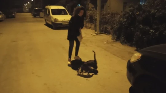 Ortaokul öğrencisi Irmak biriktirdiği harçlıkları ile sokak hayvanlarını besliyor