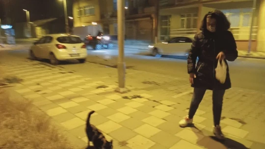 Ortaokul öğrencisi Irmak biriktirdiği harçlıkları ile sokak hayvanlarını besliyor