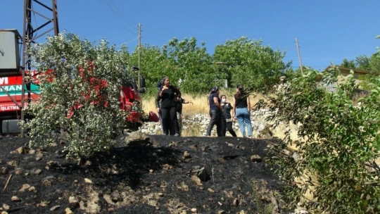 Örtü yangınında badem fidanları zarar gördü