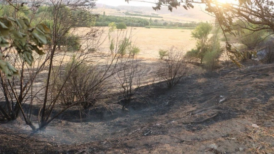 Otluk alanda başlayan yangın kayısı bahçesine sıçramadan söndürüldü