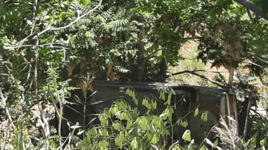 Otomobil şarampole devrildi: 1 yaralı