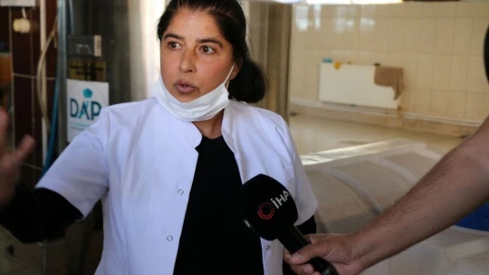 Doğadan gelen şifa deposu 'Alıç' hasadı başladı