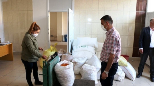 Doğadan gelen şifa deposu 'Alıç' hasadı başladı