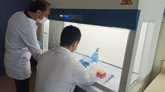 Elisa testi ile hem korona virüs hem de antikorun oranı tespit edilebilecek