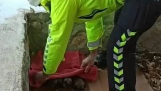 Polisten donmak üzere olan yavru köpeklere şefkat eli