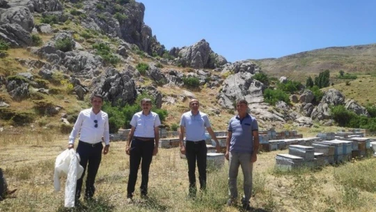 Pütürge'de Arıcılık gelişiyor