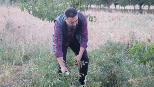 Hem resim yapıyor hem de sebze ekiyor