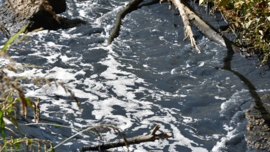 Sadıkoğlu'na OSB teşekkürü