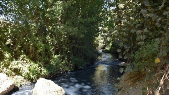 Sadıkoğlu'na OSB teşekkürü