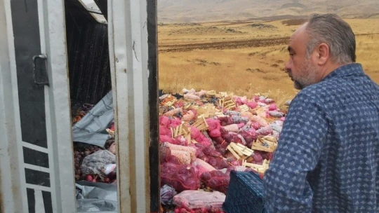 Sebze yüklü tır şarampole devrildi