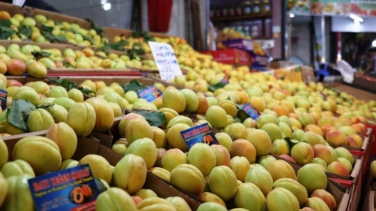 Sezonun son yaş kayısıları tezgahlarda