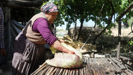 Şifa deposu karadutta hasat mevsimi